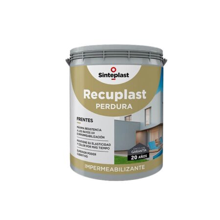 RECUPLAST PERDURA FRENTES SINTEPLAST