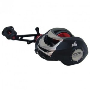 Reel Bigua Fish Hawk DM 120E-C